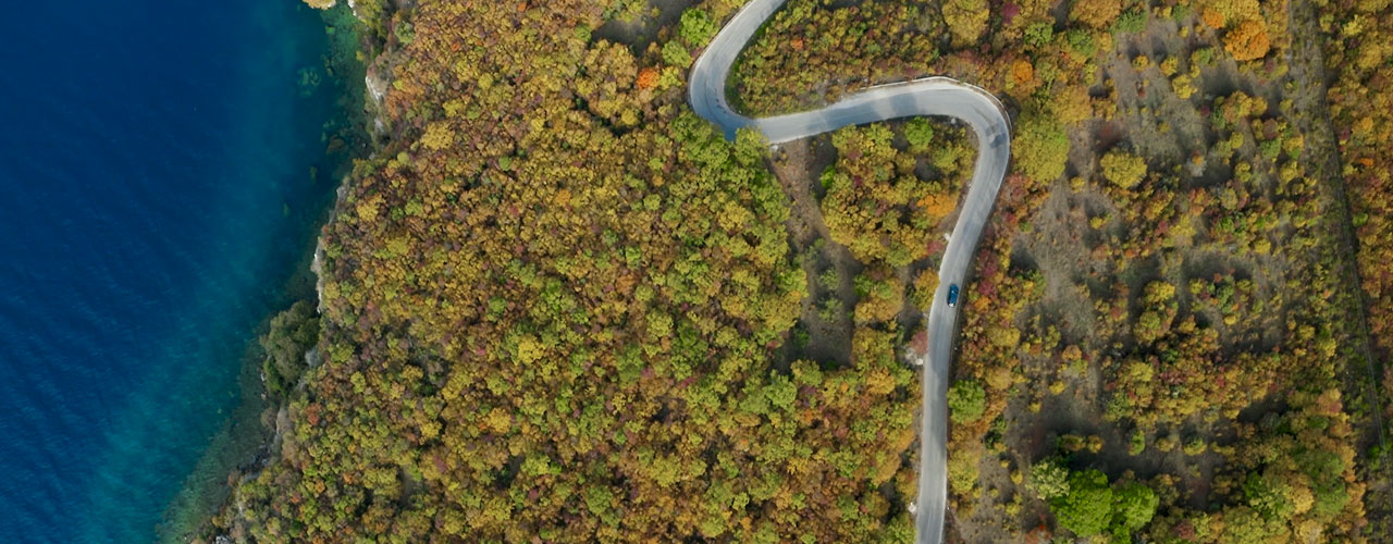 Car driving through a forest on the coast
