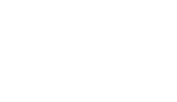 Gestión del uso de lubricantes y aditivos Administrar inventario de alto valor Procesos logísticos y Eficiencia